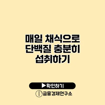 매일 채식으로 단백질 충분히 섭취하기