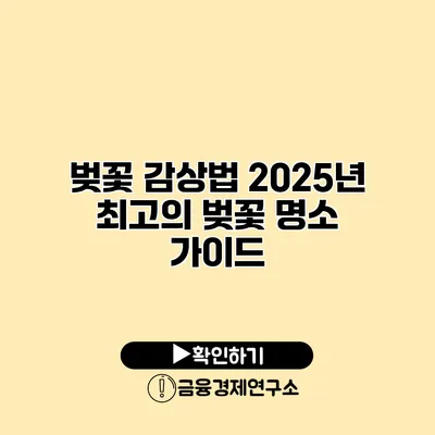 벚꽃 감상법 2025년 최고의 벚꽃 명소 가이드