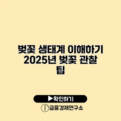 벚꽃 생태계 이해하기 2025년 벚꽃 관찰 팁