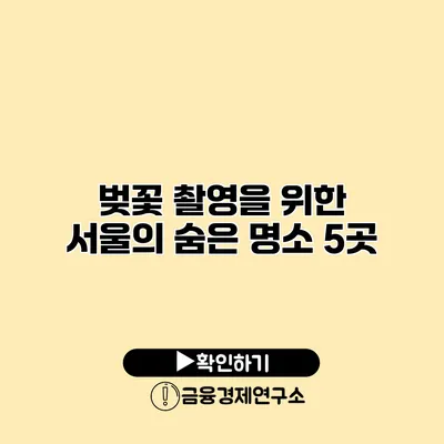 벚꽃 촬영을 위한 서울의 숨은 명소 5곳
