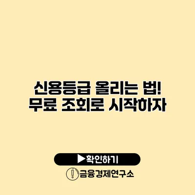 신용등급 올리는 법! 무료 조회로 시작하자