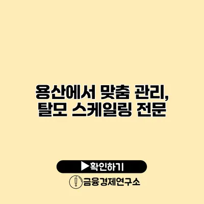 용산에서 맞춤 관리, 탈모 스케일링 전문