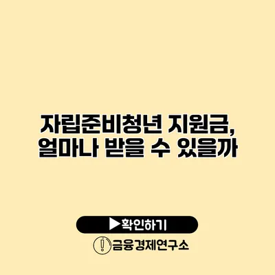 자립준비청년 지원금, 얼마나 받을 수 있을까?