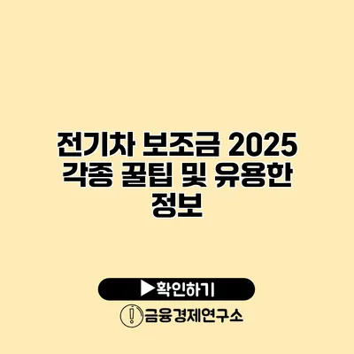 전기차 보조금 2025 각종 꿀팁 및 유용한 정보