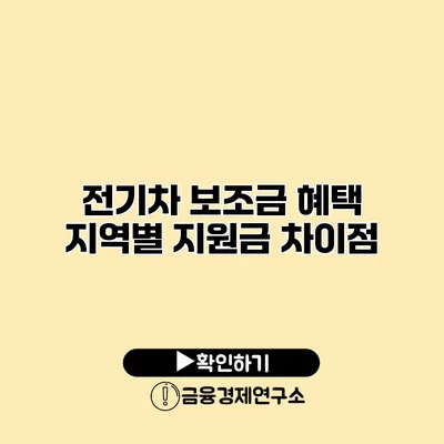 전기차 보조금 혜택 지역별 지원금 차이점