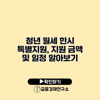 청년 월세 한시 특별지원, 지원 금액 및 일정 알아보기