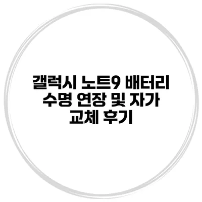 갤럭시 노트9 배터리 수명 연장 및 자가 교체 후기