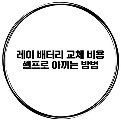 레이 배터리 교체 비용 셀프로 아끼는 방법