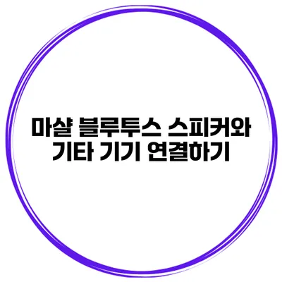 마샬 블루투스 스피커와 기타 기기 연결하기