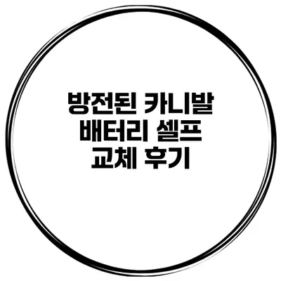방전된 카니발 배터리 셀프 교체 후기