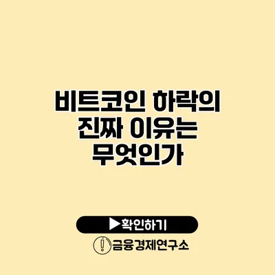 비트코인 하락의 진짜 이유는 무엇인가?