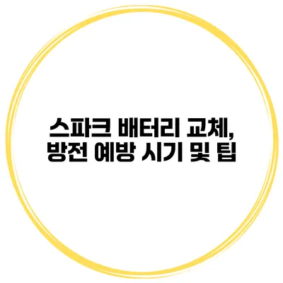 스파크 배터리 교체, 방전 예방 시기 및 팁